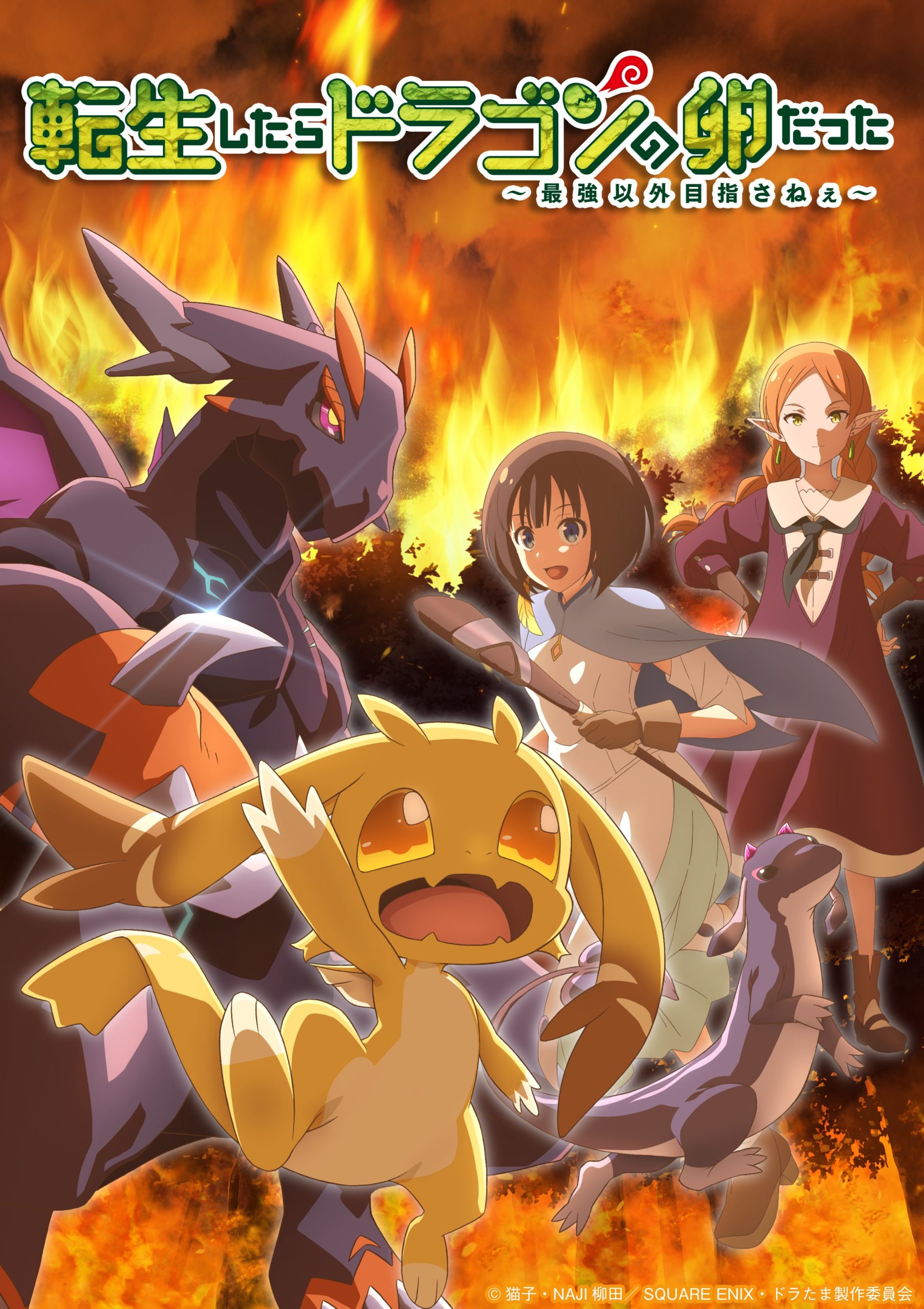 アニメ　転生したらドラゴンの卵だった　キービジュアル